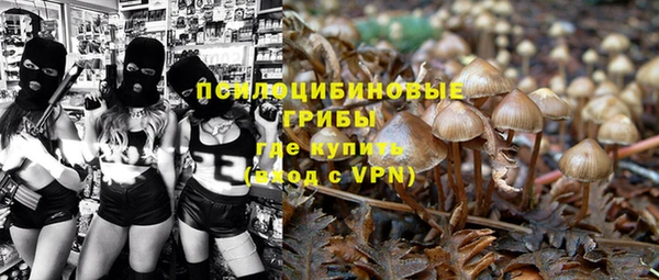 mdpv Алзамай