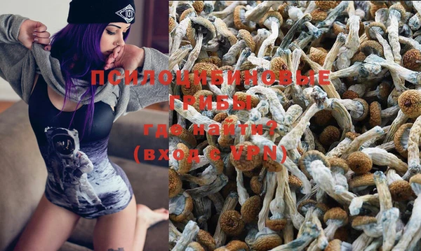PSILOCYBIN Алексин