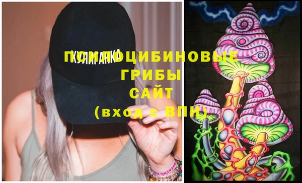 PSILOCYBIN Алексин