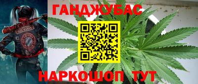 гидра Бийск