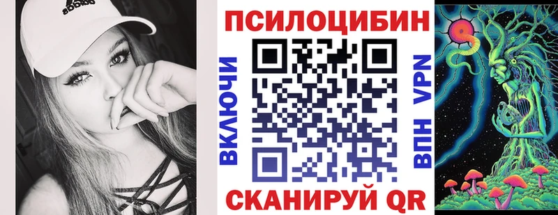 купить закладку  Когалым  мега онион  нарко площадка телеграм  Псилоцибиновые грибы Psilocybe 